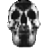 Chrome Skull 1.ico