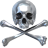 Chrome Skull 13.ico Preview