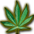 pot leaf R.ico