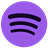purple spotify logo icon.ico Preview