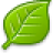 Leaf.ico
