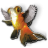 goldfishcherub.ico Preview