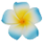 flower blue.ico Preview