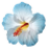 hibiscus flower.ico Preview