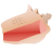 Conch.ico Preview