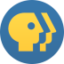 Shynkarenko Python Maker Icon (Deleted after 30 days).ico Preview