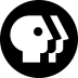 Shynkarenko Media Group Icon (alternate).ico Preview