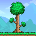 Terraria.ico Preview