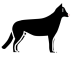 257197-100x100 (1) (1) (1) (15).svg Preview