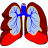 12442563481502601059healthy lungs.svg.med.ico Preview