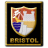 Bristol.ico Preview