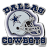 DallasCowboyslogo.ico Preview