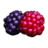 Berry 2b-Lrg.ico