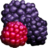 Berry 3a-Lrg.ico