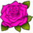 Rose-Pink.ico