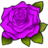 Rose-Plum.ico