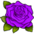 Rose-PurpleR.ico Preview