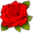 Rose-Red.ico