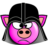 Darth Cochon.ico Preview