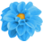 Dahlia-LtBlue.ico