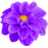 Dahlia-Purple.ico Preview