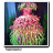flower dress.ico Preview