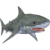 rsrc/14569.png image