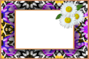 Daisy Template