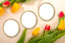 Tulips Template