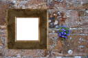 Wall Flower Template