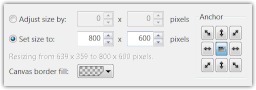 Canvas size configuration panel