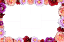Flowers template