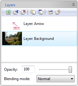 Panel with layers