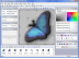 RealWorld Cursor Editor 2007.1 released thumbnail