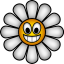 Daisy logo