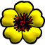 Flower logo