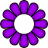 2-petals-purple.png