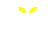 2-eyes-yellow.png