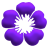 1-petals-purple.png