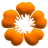 1-petals-orange.png