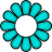 2-petals-aqua.png