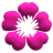 1-petals-pink.png