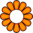 2-petals-orange.png