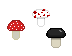 Mushroom Teaser