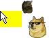 random memes Teaser