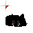 blackkittysnooze.ani Preview