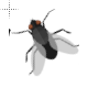 fly cursor.ani 200% version