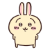 Usagi chiikawa.png