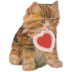 kitten 11.ico Preview