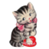 Cute Grey Kitten.ico Preview
